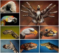 /album/galeria-de-fotos/a600753-545090432178639-1428033996-n-jpg/